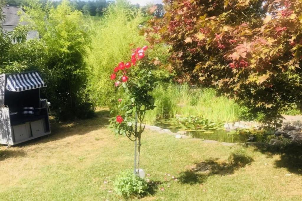 Modernes Ferienhaus Sauerblick Langsur Luaran gambar